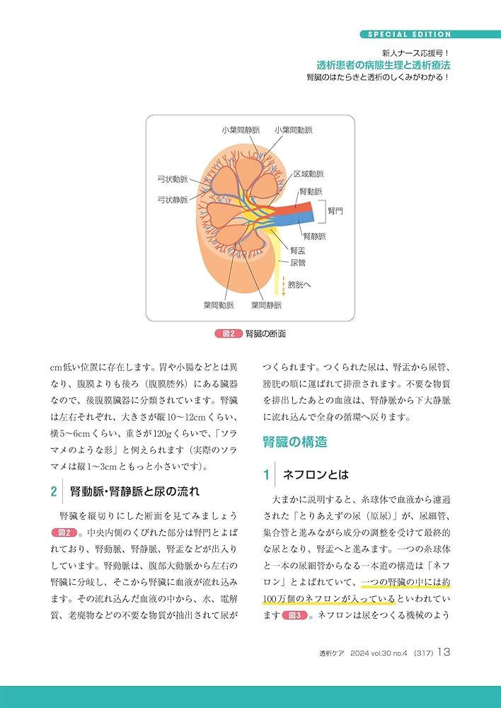 透析ケア　4冊まとめ 透析ケア 2024年4月号〈特集〉透析患者の病態生理と透析療法（第